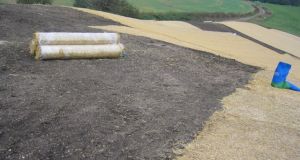 Erosionsschutzmatten-BGS (7).JPG