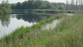 Hadelnder_Kanal (3).JPG