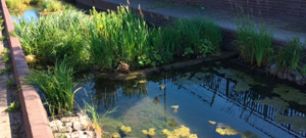 Wasserreinigung mittels XylithFloat®