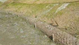 DSCN3286.JPG