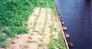 Erosionsschutzmatten-BGS (3).jpg