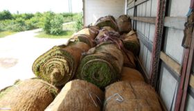 DSCN0623.JPG