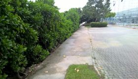 WP_20161228_12_55_37_Pro.jpg