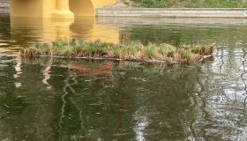 AquaGreen-Roehrichtinseln (2).jpg