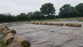 DSCN0610.JPG
