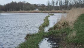 Hadelnder_Kanal (2).JPG