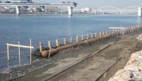Yedo_River_160107_011.jpg
