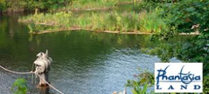 Einbau von AquaGreen® Schwimmende Röhrichtdecken