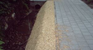 Erosionsschutzmatten-BGS (9).JPG