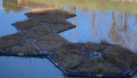 Schwimmkampen (2).jpg
