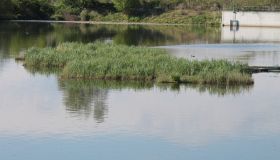 Schwimmkampen-5.jpg