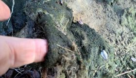 WP_20161012_11_55_16_Pro.jpg