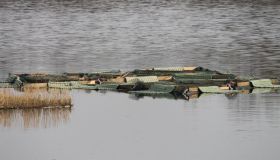 IMG_Schwimmkampen-1.jpg