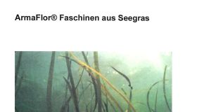 Informationsschrift-Nr125.jpg