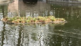AquaGreen-Roehrichtinseln (1).jpg