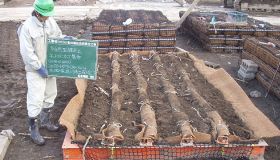 BGS_Arakawa-Fluss-Japan-2.jpg