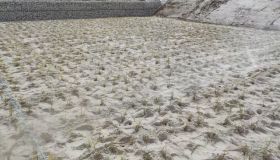 DSCN3058.JPG