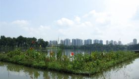 IMG_5574.JPG