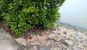 WP_20161228_12_54_46_Pro.jpg