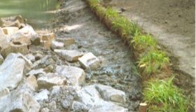 ArmaFlor_Roehrichtwalzen_Roewa_02.jpg