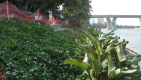 IMG_4853.JPG