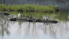 Schwimmkampen-3.jpg