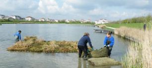 Schwimmende Röhrichtmatten AquaGreen®-Installation in Frankreich
