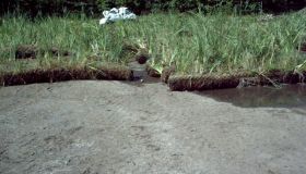 ArmaFlor_Roehrichtwalzen_Roewa_01.jpg