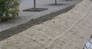 Erosionsschutzmatten-BGS (6).JPG