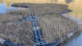 Schwimmkampen (3).jpg