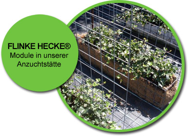 Vorkultivierte Vegetationssysteme in Modulbauweise