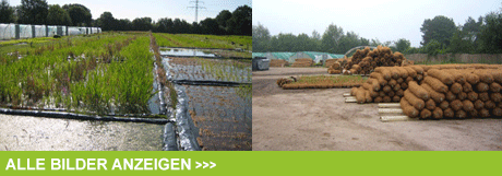 Bestmann Green System